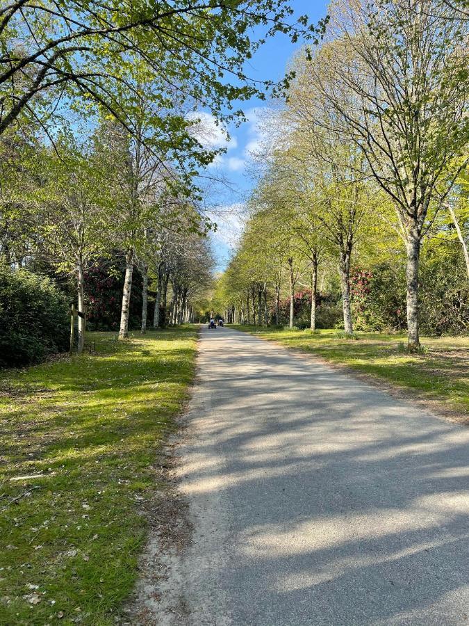 Mobilhome Tout Confort M9 Domaine De Lanniron Quimper Dış mekan fotoğraf